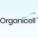 Organicell Activates COPD Trial at Mayo Clinic cover