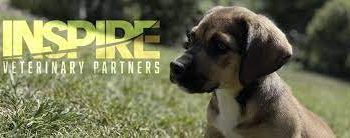 Discovering a New Breed of Veterinary Growth: Introducing Inspire Veterinary Partners, Inc., a Ground-Floor Opportunity cover