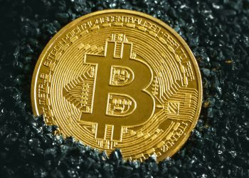 Bitcoin’s Recent Performance: A Market Overview cover