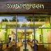 Sweetgreen Could Be The Next Big Bite For Wonder Group Inc. – Here’s Why! cover